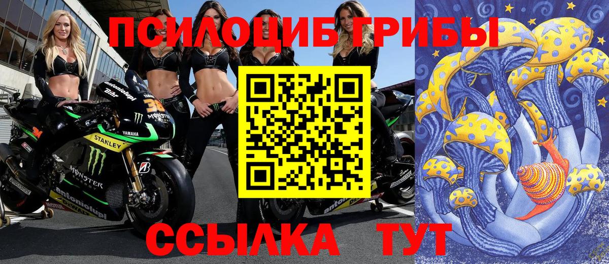 Топки  Псилоцибиновые грибы Psilocybe  Псилоцибиновые грибы Cubensis  Вход с VPN 